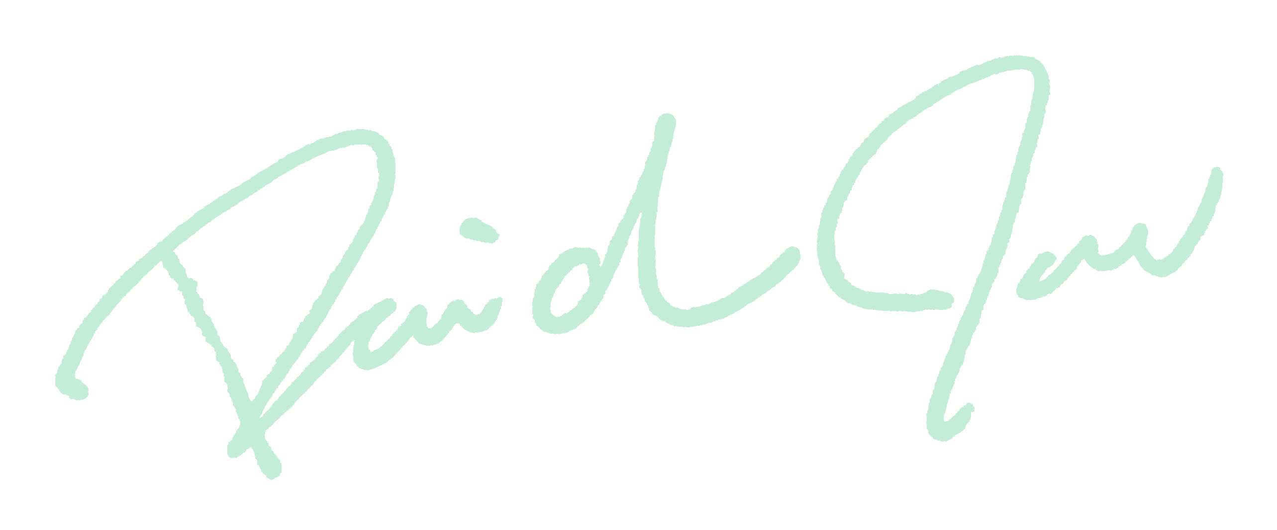 David S. Jou signature